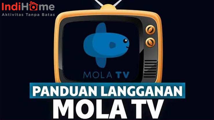 Cara Berlangganan Mola TV di Indihome