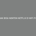 Tidak Bisa Nonton Netflix di Wifi MyRepublic Penyebab Solusi